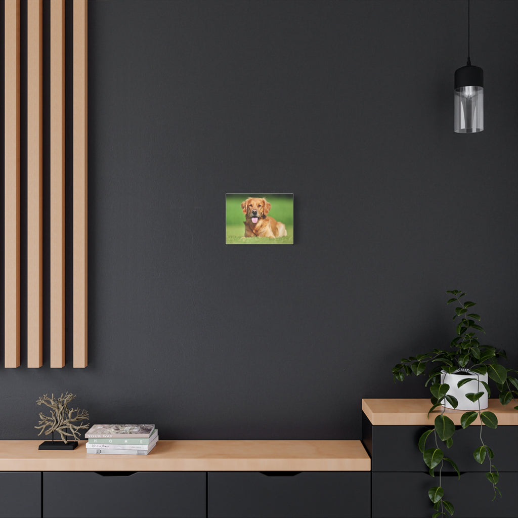Matte Stretched Wall Art