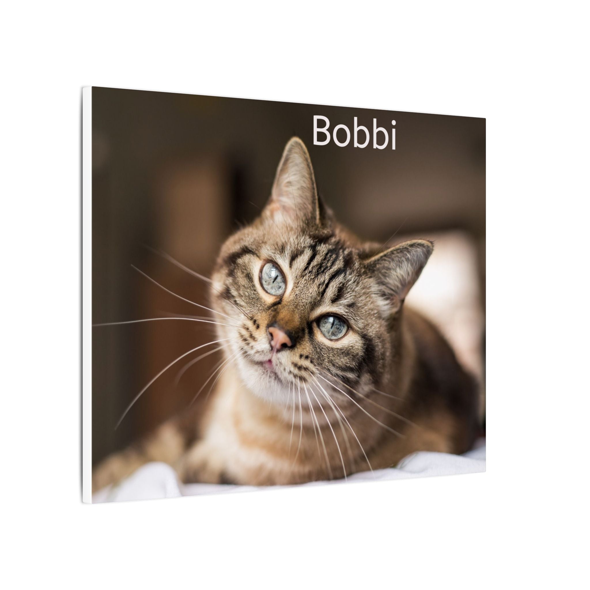 Matte Stretched Canvas Wall Art