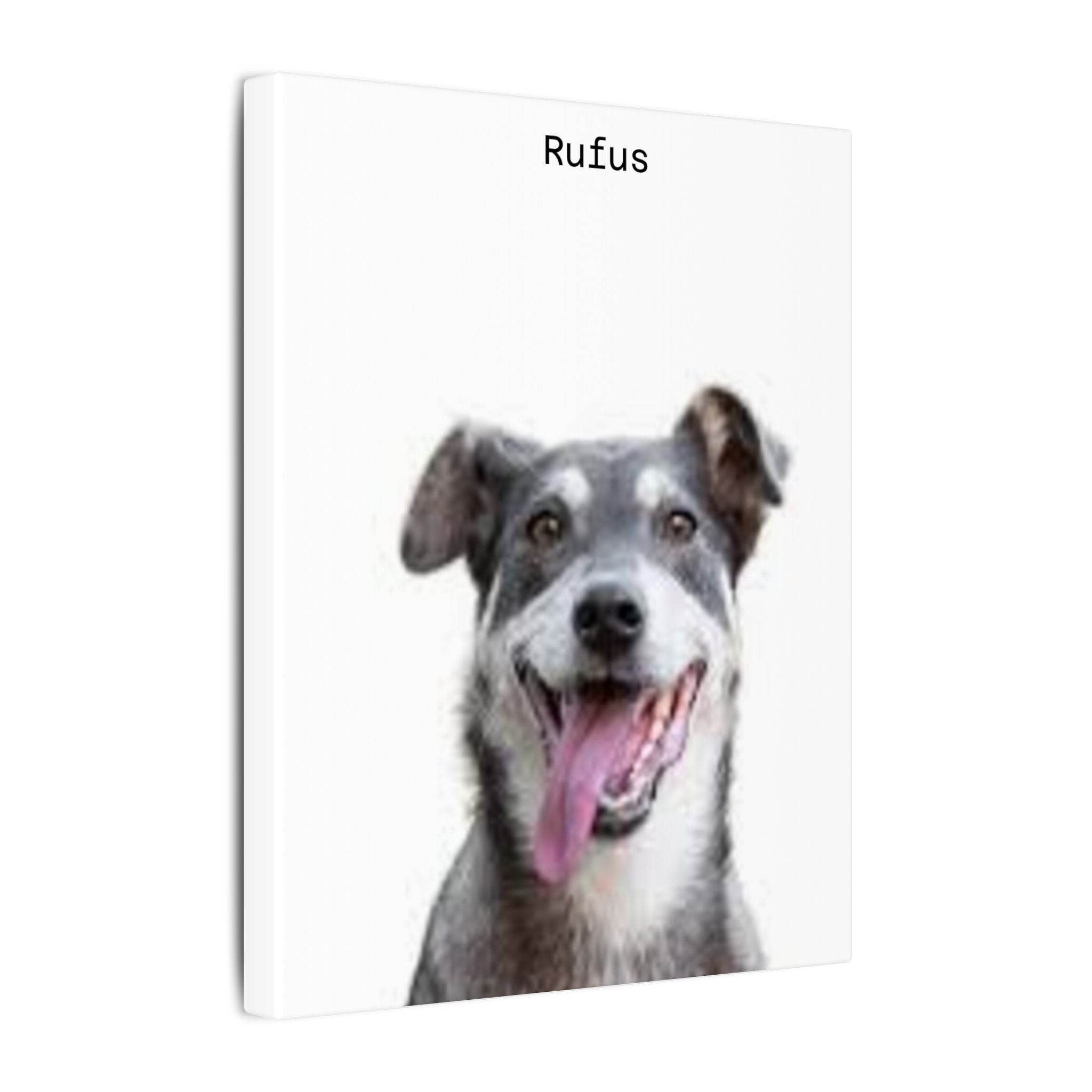 Portrait Canvas — Matte Stretched Wall Art for Pet Lovers