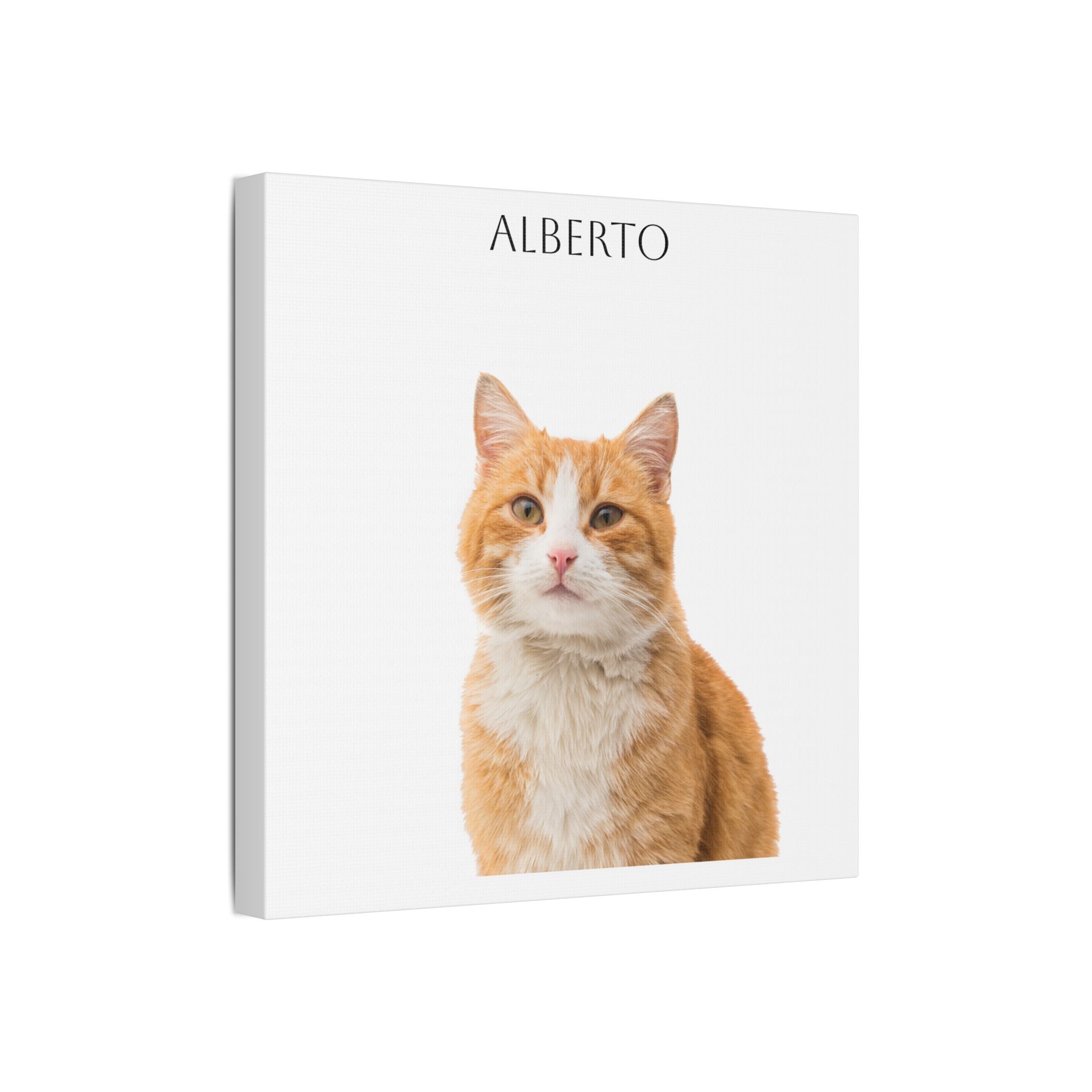 Pet Portrait Satin Canvas (Stretched)