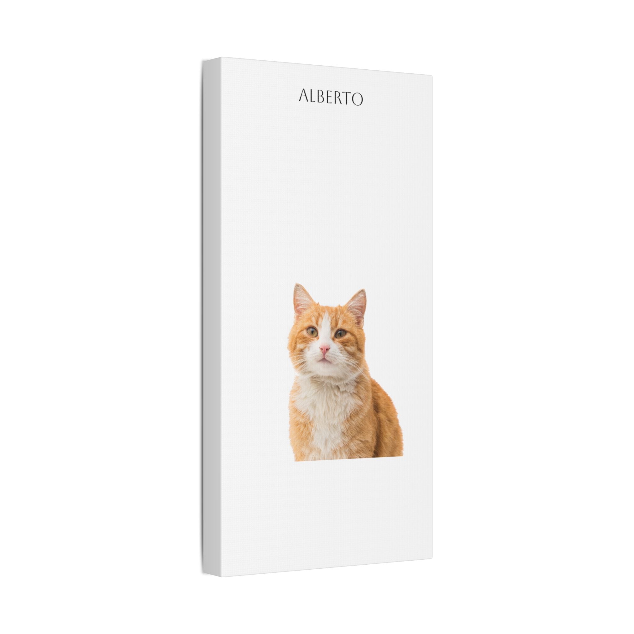 Pet Portrait Satin Canvas (Stretched)