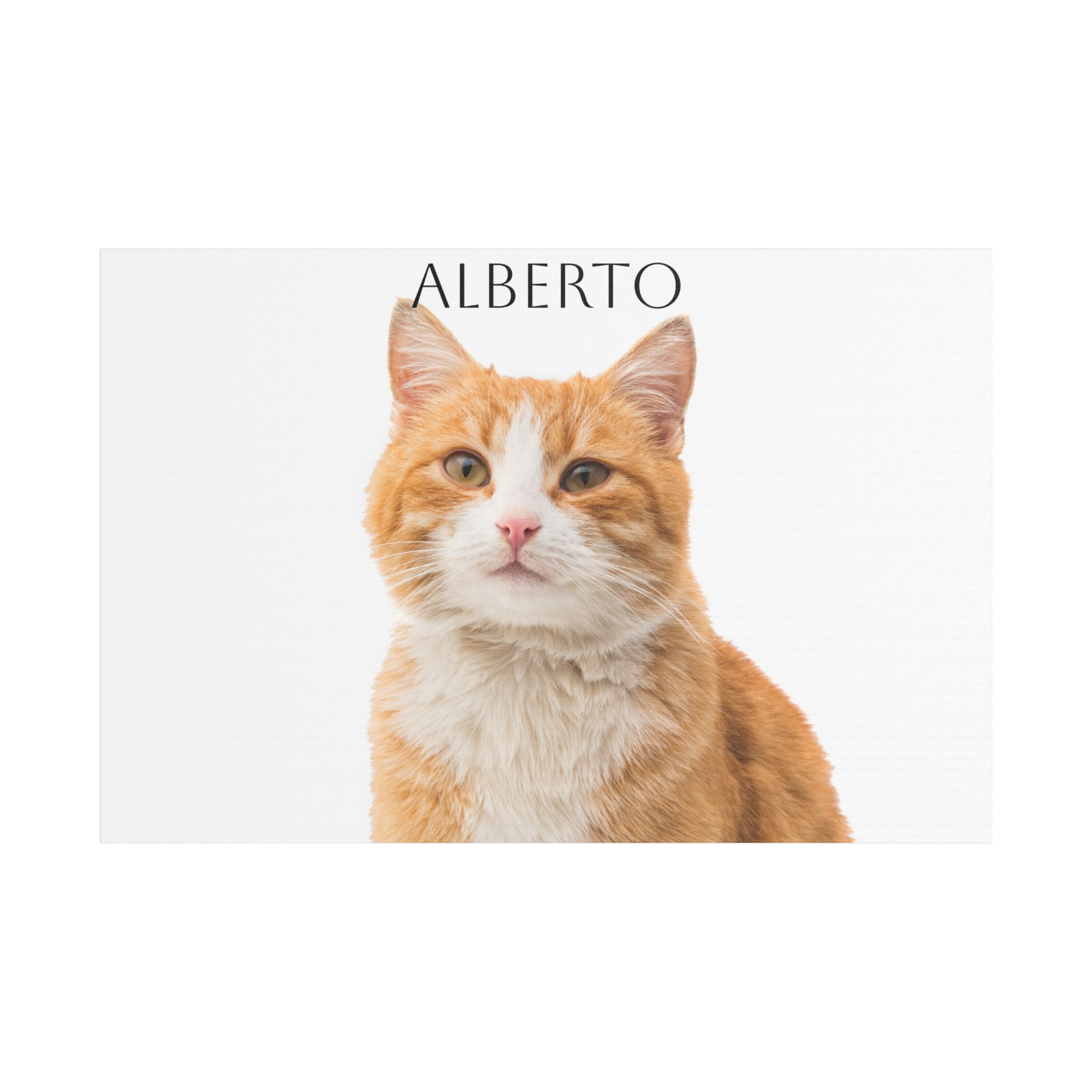 Pet Portrait Satin Canvas (Stretched)