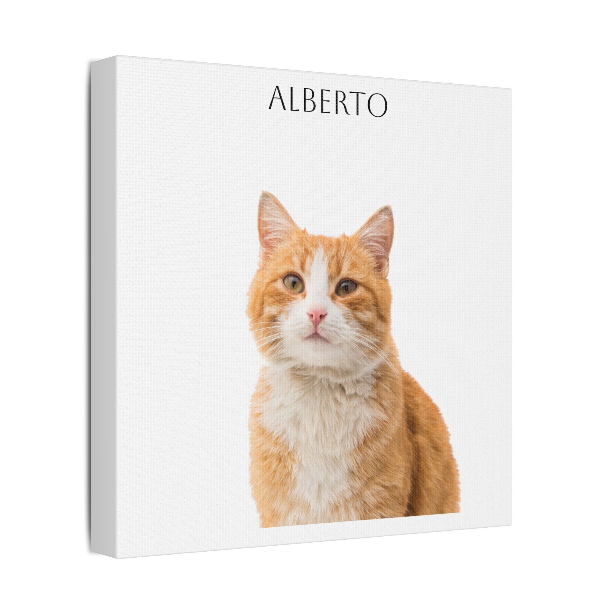 Pet Portrait Satin Canvas (Stretched)