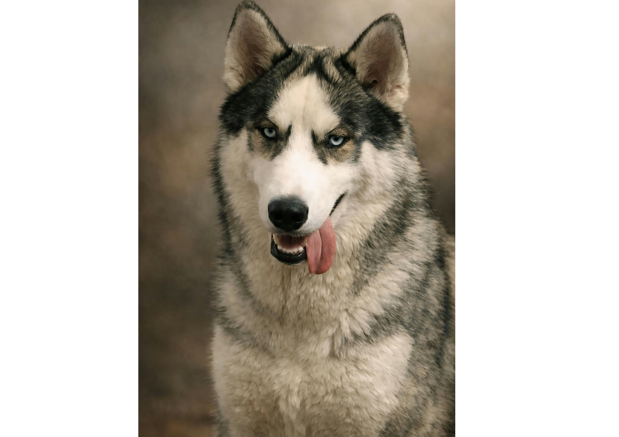 Slim Canvas Portrait
