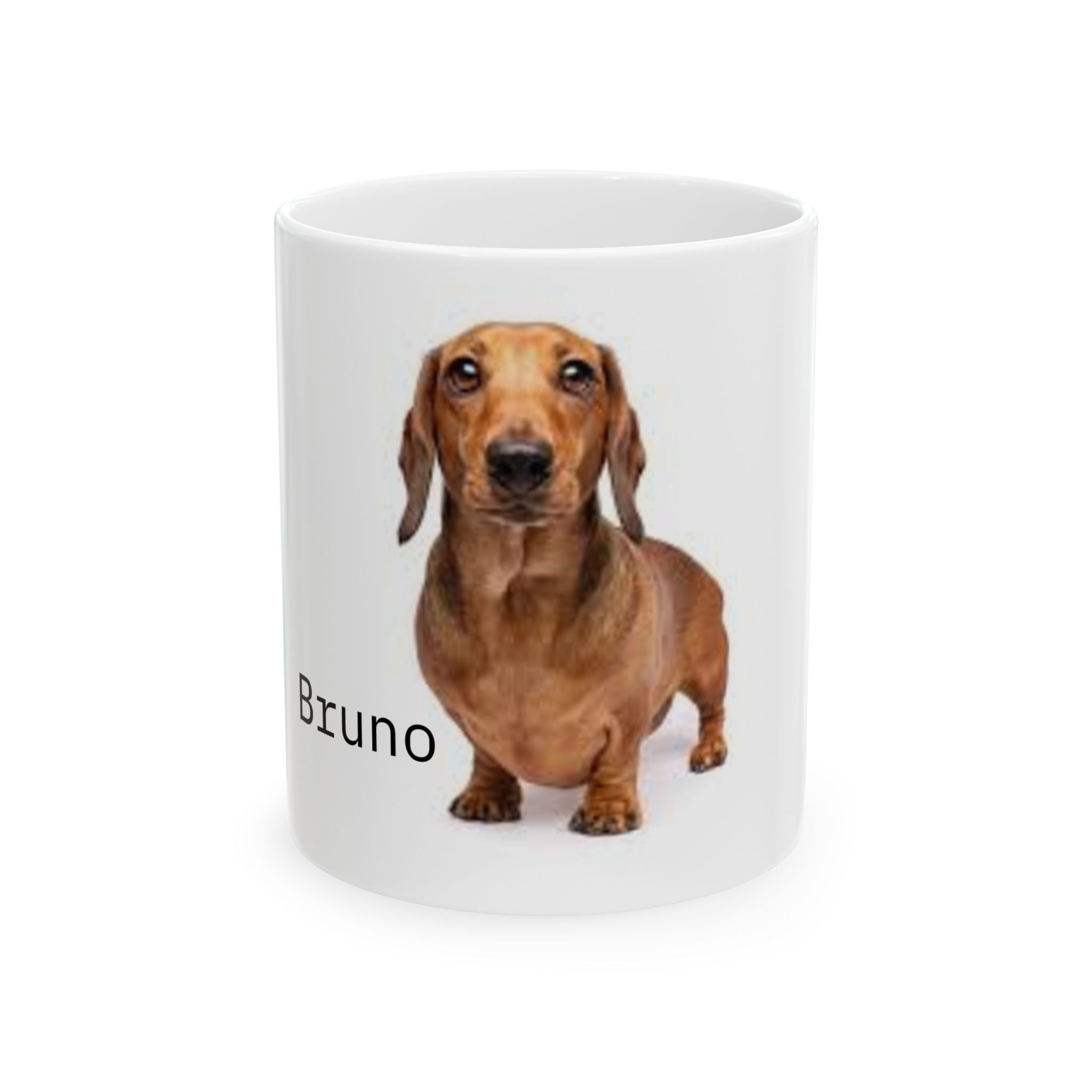 Ceramic Mug — Cute Pet Lover Coffee Cup (11oz, 15oz)