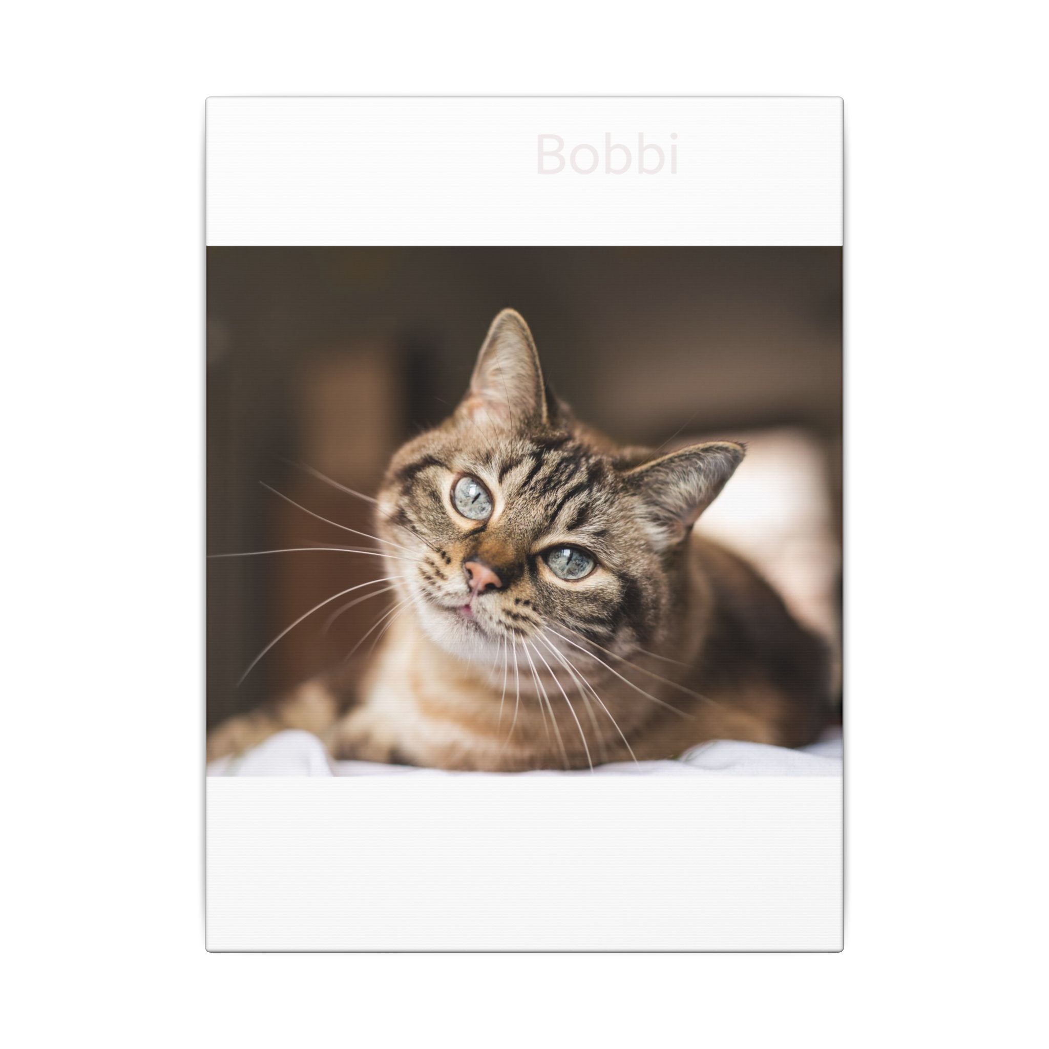 Matte Stretched Canvas Wall Art