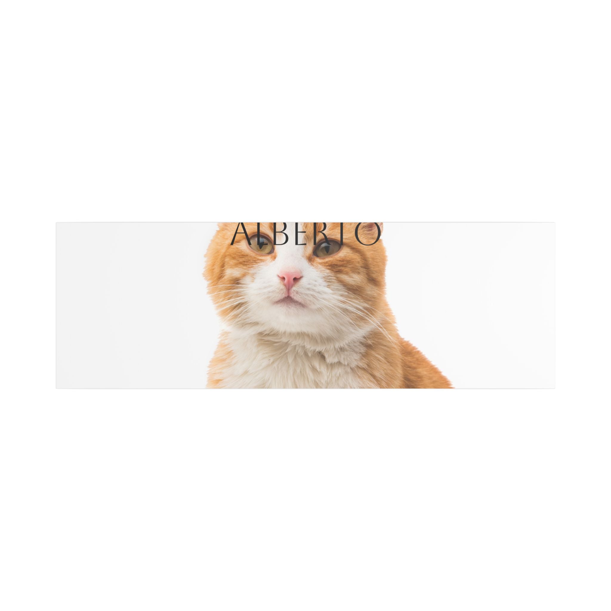 Pet Portrait Satin Canvas (Stretched)