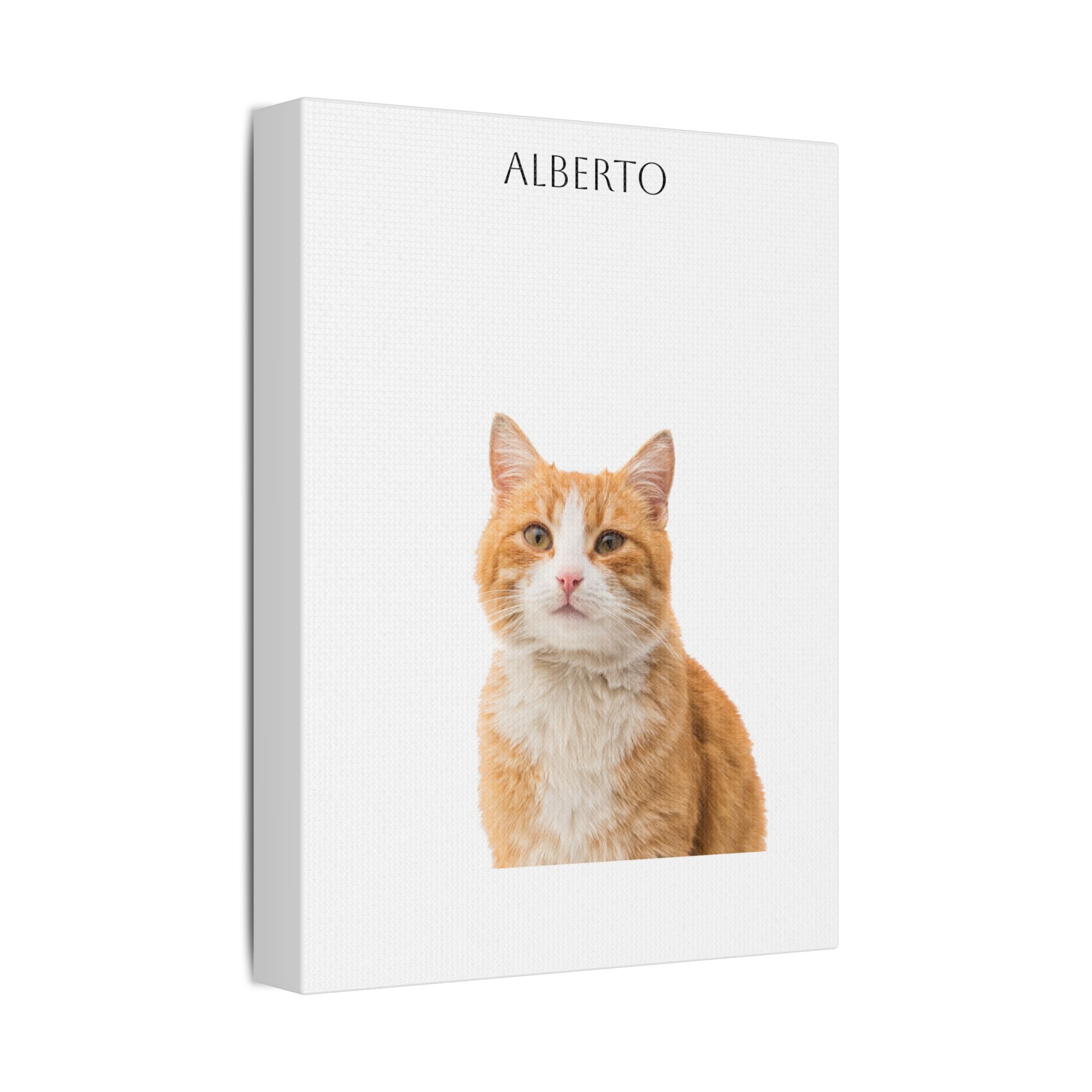 Pet Portrait Satin Canvas (Stretched)