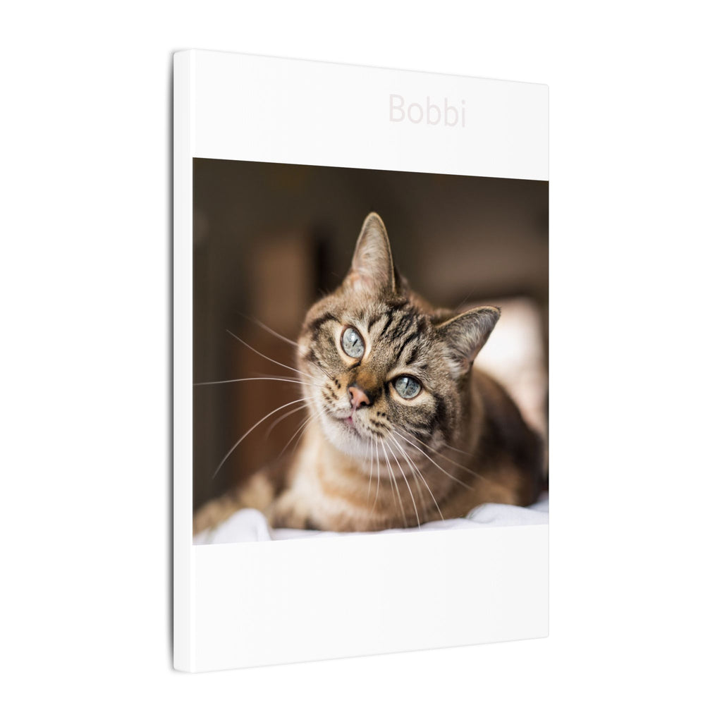 Matte Stretched Canvas Wall Art