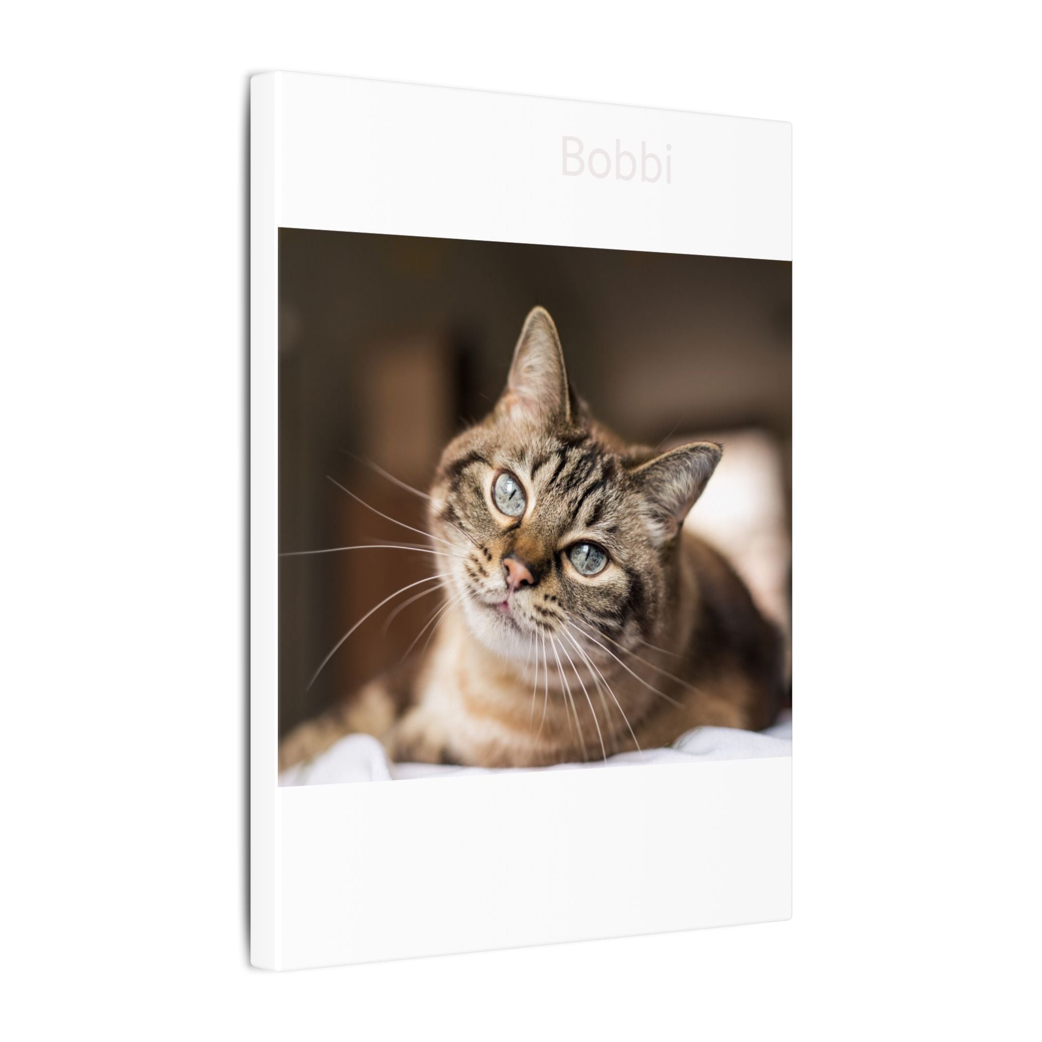 Matte Stretched Canvas Wall Art