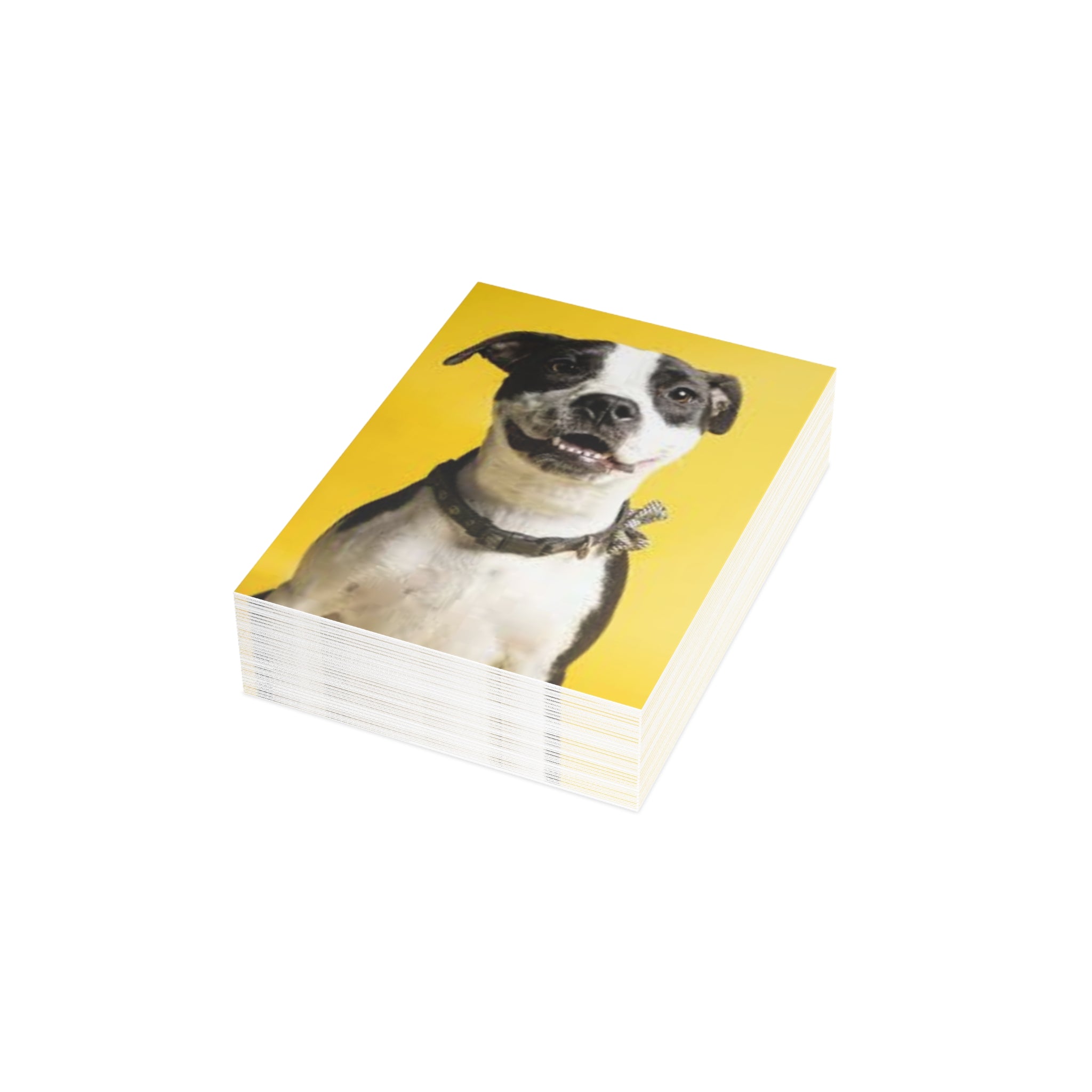 Postcard Bundles (envelopes included)