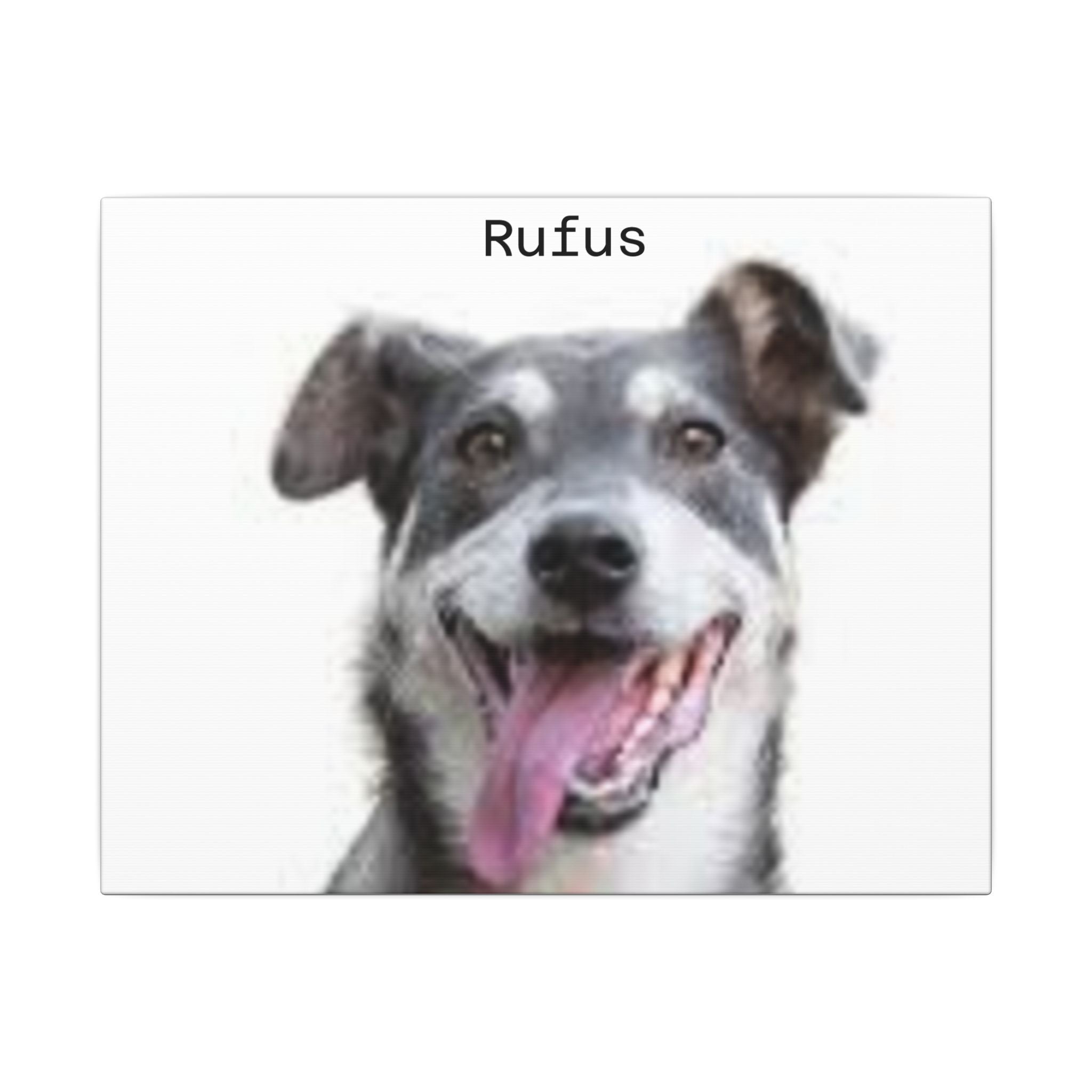 Portrait Canvas — Matte Stretched Wall Art for Pet Lovers