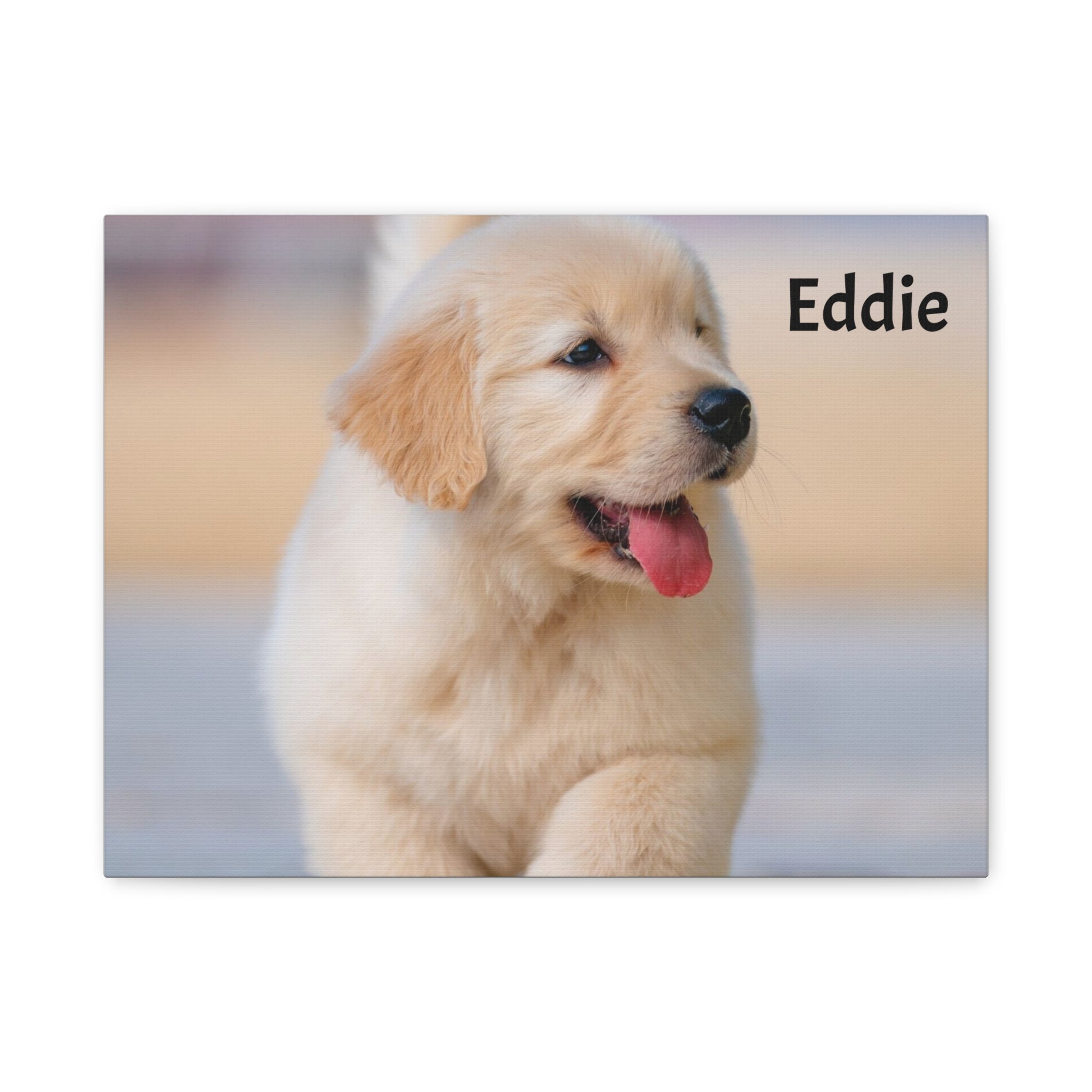 Golden Retriever Puppy Canvas Print — Adorable Walking Pup Wall Art, Stretched Matte Canvas