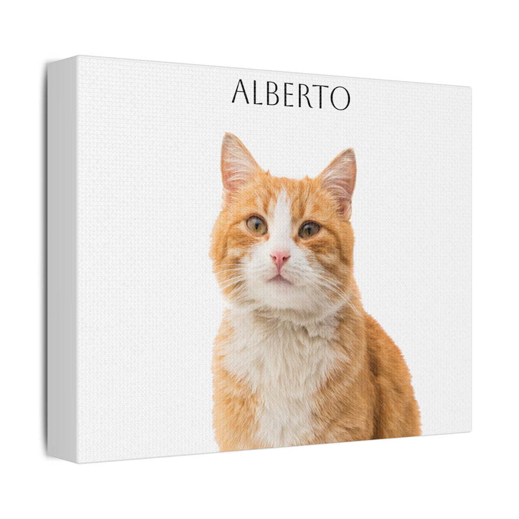 Pet Portrait Satin Canvas (Stretched)