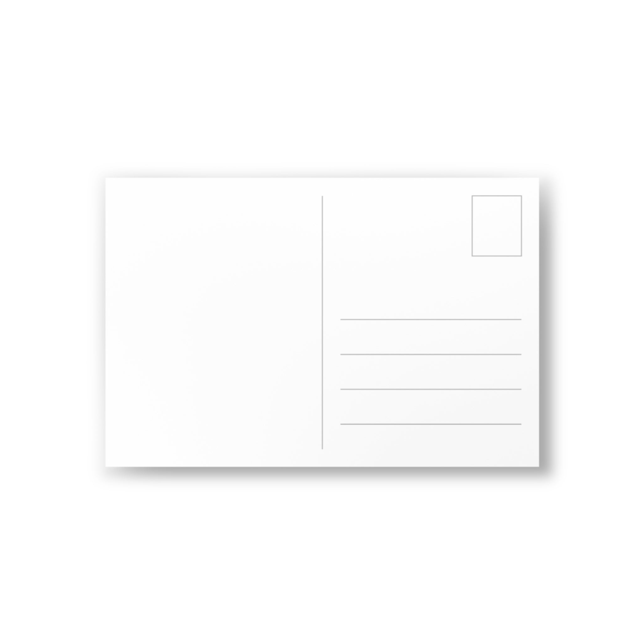 Postcards (10-Pack) — Blank Greeting Cards for Pet Lovers
