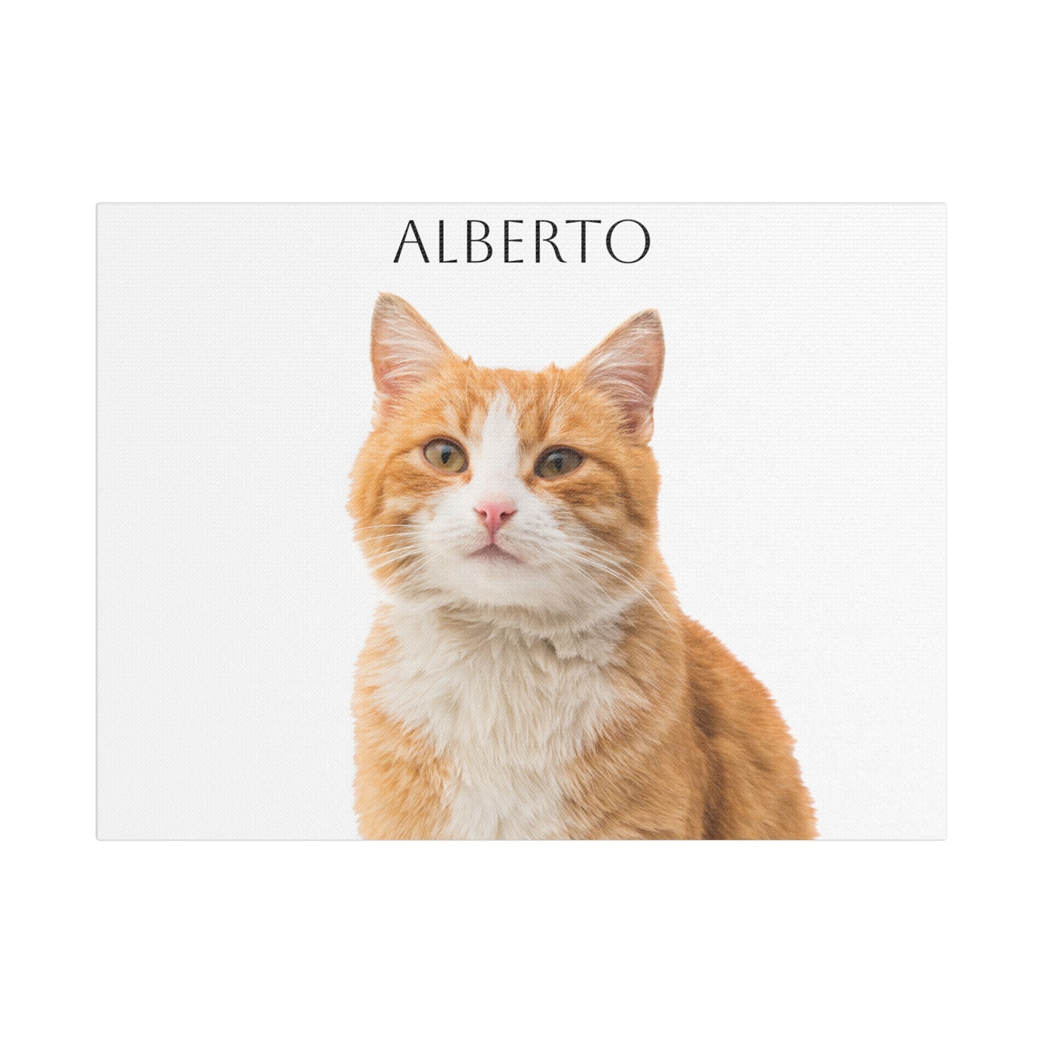Pet Portrait Satin Canvas (Stretched)