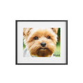 Framed Matte Portrait Poster — Custom Wall Art