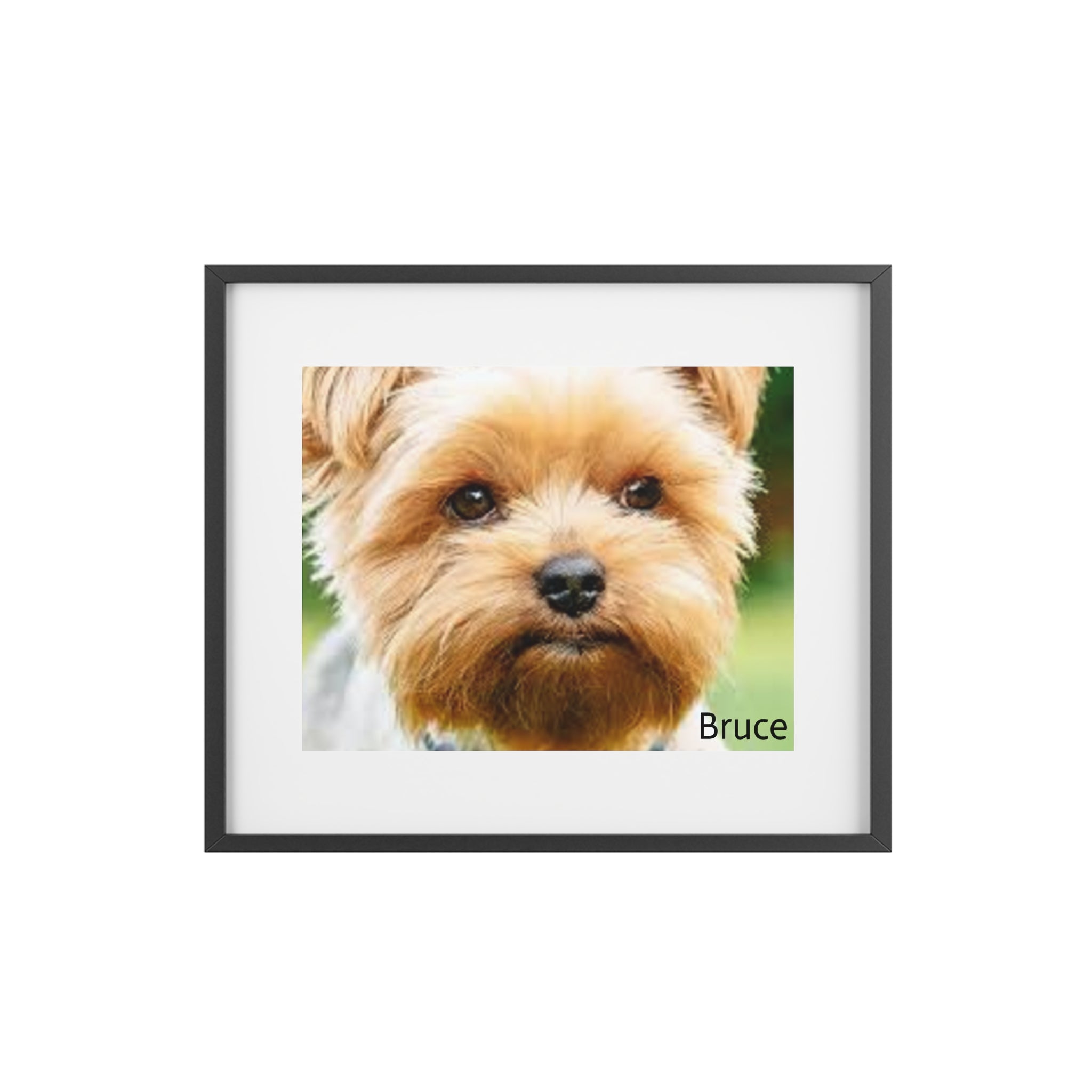Framed Matte Portrait Poster — Custom Wall Art