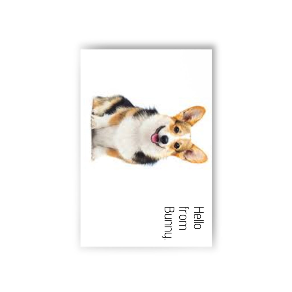 Postcards (10-Pack) — Blank Greeting Cards for Pet Lovers