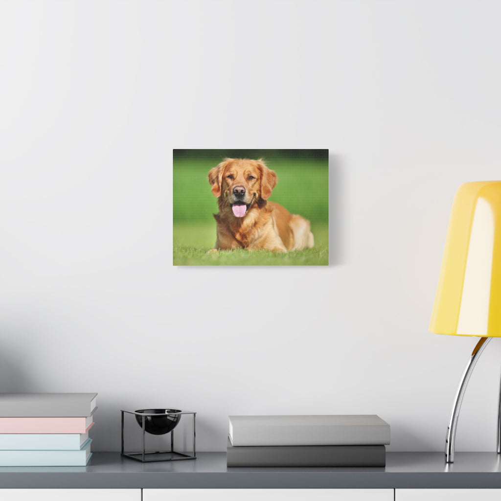Matte Stretched Wall Art
