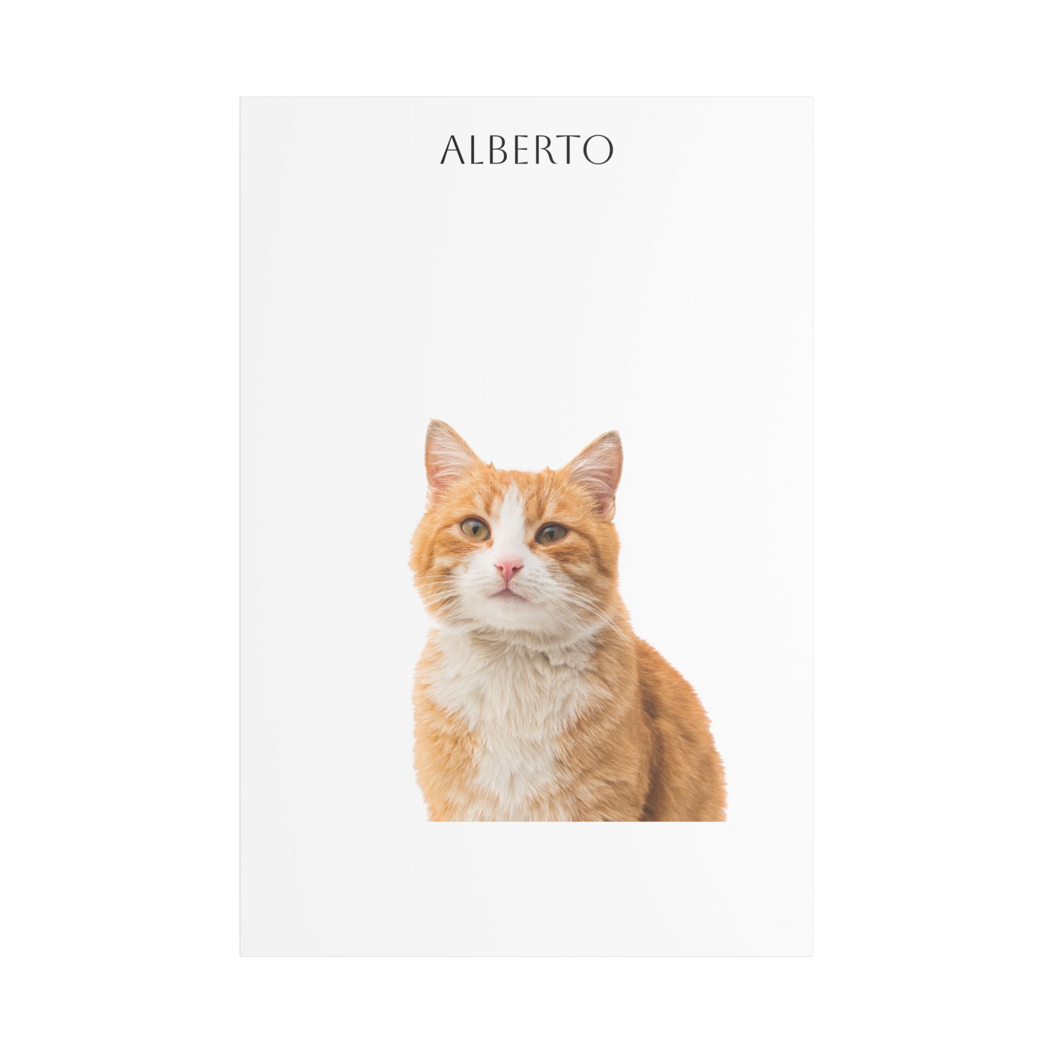 Pet Portrait Satin Canvas (Stretched)
