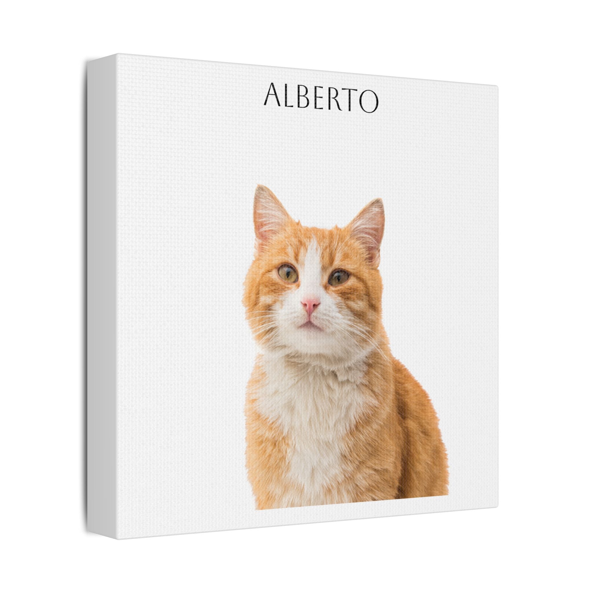 Pet Portrait Satin Canvas (Stretched)